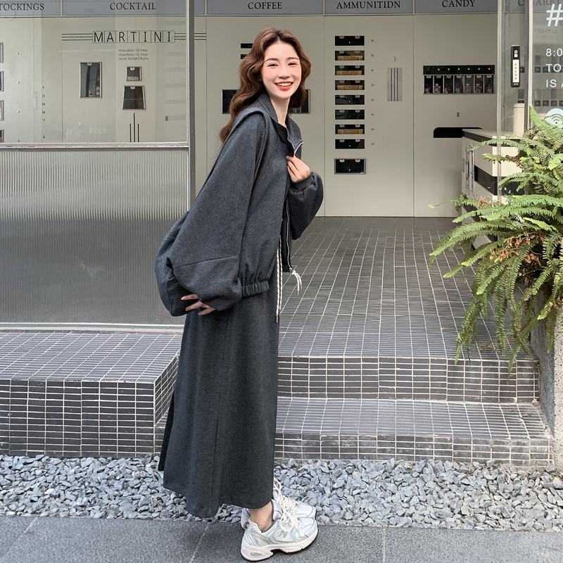 新款秋冬款2608-P195-K289,女装套装/套裙,2D013